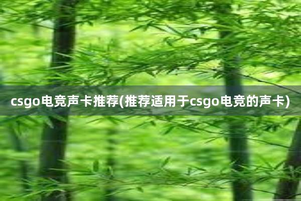 csgo电竞声卡推荐(推荐适用于csgo电竞的声卡)