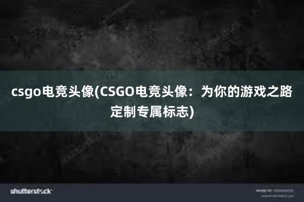 csgo电竞头像(CSGO电竞头像：为你的游戏之路定制专属标志)