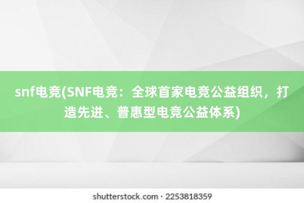 snf电竞(SNF电竞：全球首家电竞公益组织，打造先进、普惠型电竞公益体系)