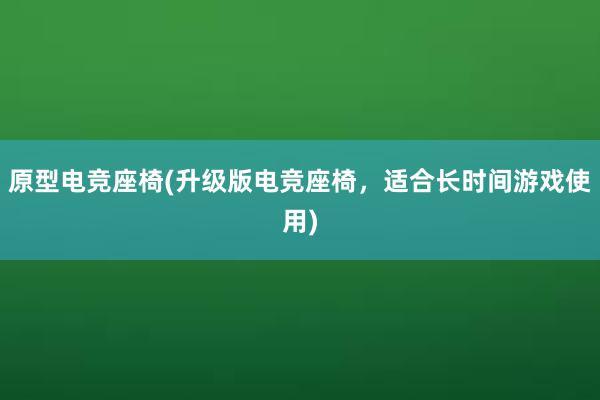 原型电竞座椅(升级版电竞座椅，适合长时间游戏使用)