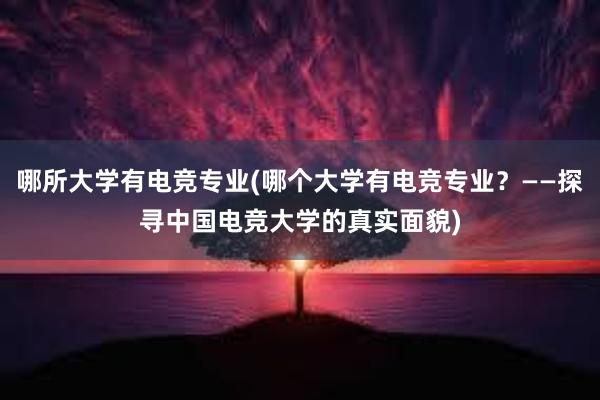 哪所大学有电竞专业(哪个大学有电竞专业？——探寻中国电竞大学的真实面貌)