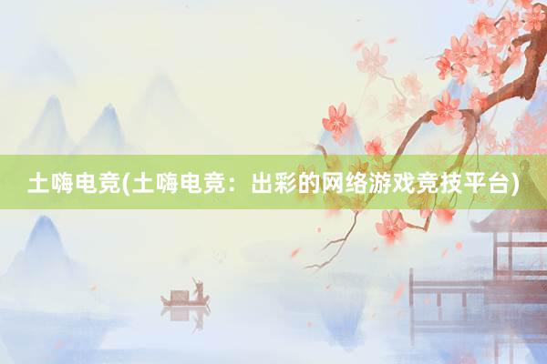 土嗨电竞(土嗨电竞：出彩的网络游戏竞技平台)