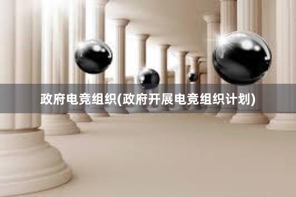 政府电竞组织(政府开展电竞组织计划)