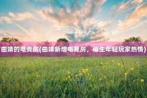 曲靖的电竞房(曲靖新增电竞房，催生年轻玩家热情)