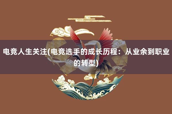 电竞人生关注(电竞选手的成长历程：从业余到职业的转型)