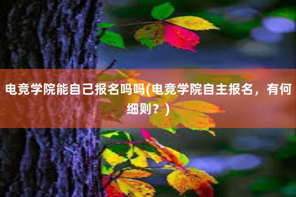 电竞学院能自己报名吗吗(电竞学院自主报名，有何细则？)