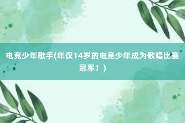 电竞少年歌手(年仅14岁的电竞少年成为歌唱比赛冠军！)