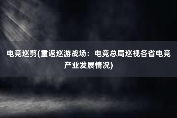 电竞巡剪(重返巡游战场：电竞总局巡视各省电竞产业发展情况)