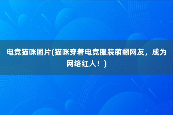 电竞猫咪图片(猫咪穿着电竞服装萌翻网友，成为网络红人！)