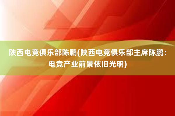 陕西电竞俱乐部陈鹏(陕西电竞俱乐部主席陈鹏：电竞产业前景依旧光明)