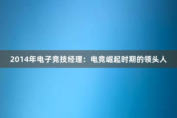 2014年电子竞技经理：电竞崛起时期的领头人