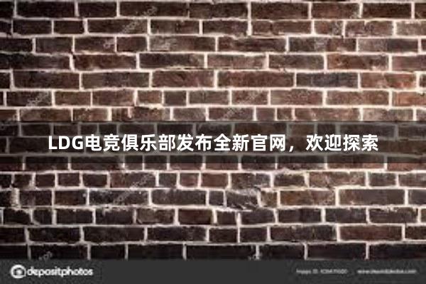 LDG电竞俱乐部发布全新官网，欢迎探索