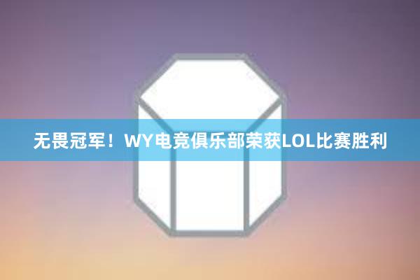 无畏冠军！WY电竞俱乐部荣获LOL比赛胜利