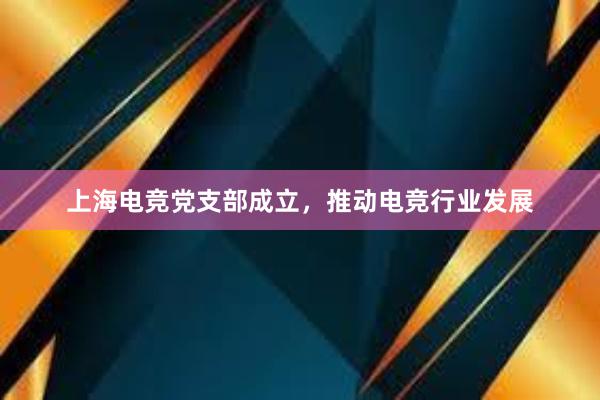 上海电竞党支部成立，推动电竞行业发展