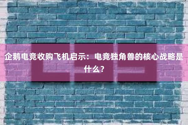 企鹅电竞收购飞机启示：电竞独角兽的核心战略是什么？