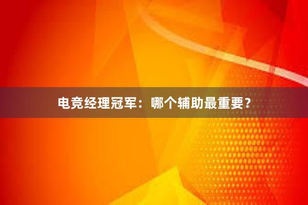 电竞经理冠军：哪个辅助最重要？