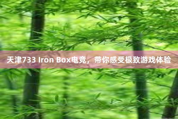 天津733 Iron Box电竞，带你感受极致游戏体验