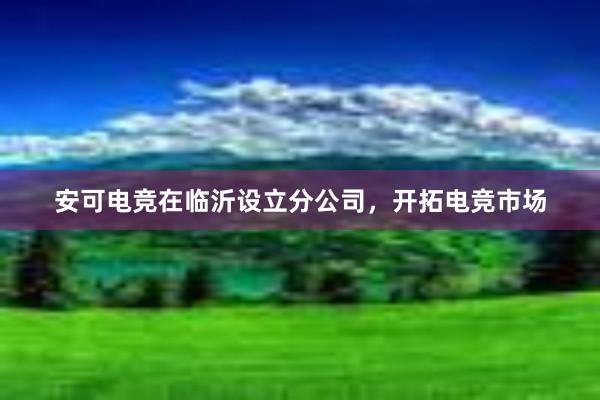 安可电竞在临沂设立分公司，开拓电竞市场