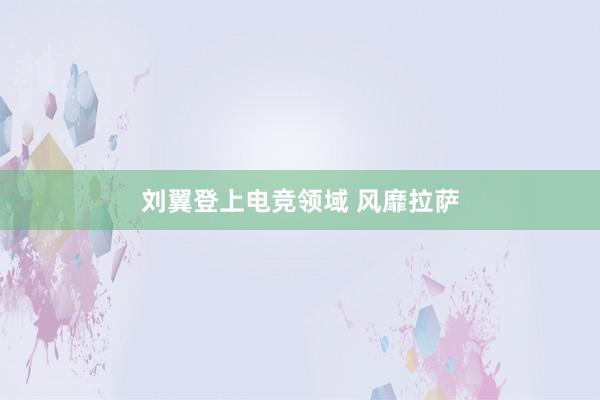 刘翼登上电竞领域 风靡拉萨