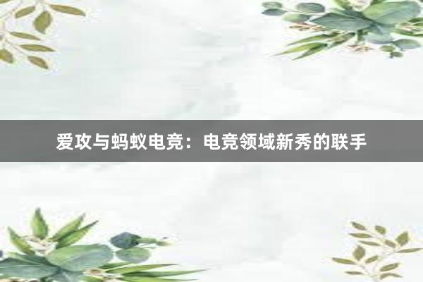 爱攻与蚂蚁电竞：电竞领域新秀的联手