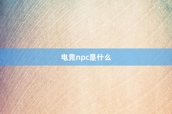 电竞npc是什么