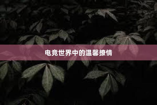 电竞世界中的温馨撩情