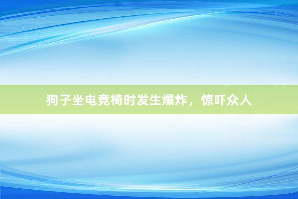 狗子坐电竞椅时发生爆炸，惊吓众人