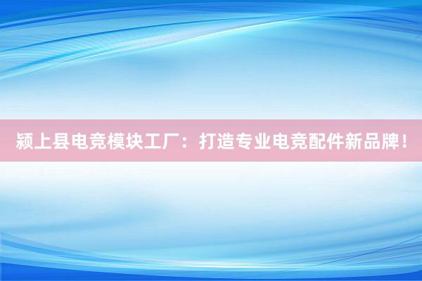 颍上县电竞模块工厂：打造专业电竞配件新品牌！